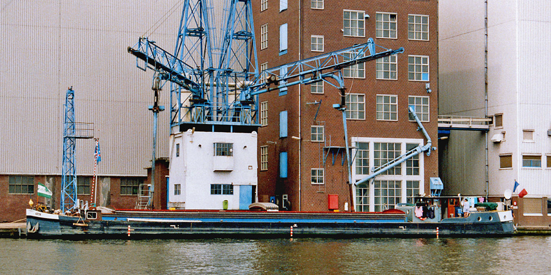 Langs de Zaan - spits Apis